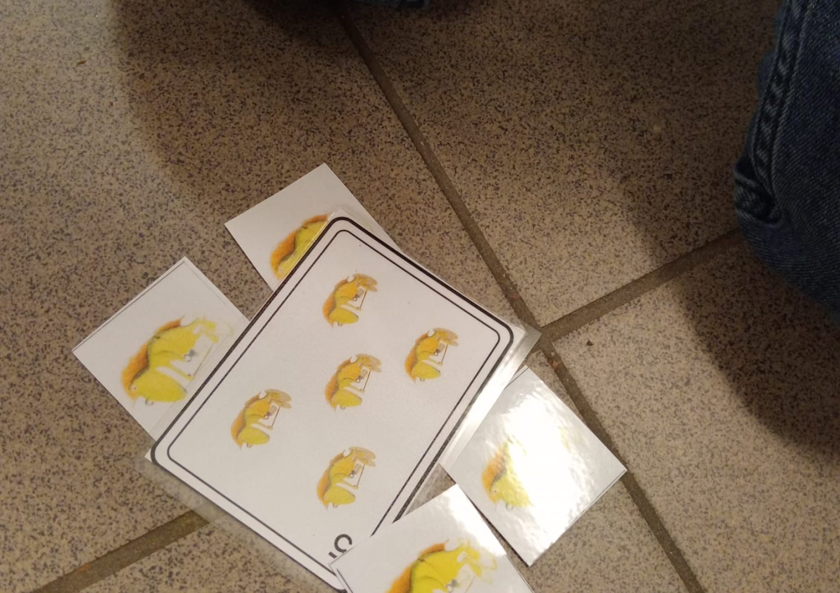 whatsapp image 2026-01-16 at 22.47.24 6